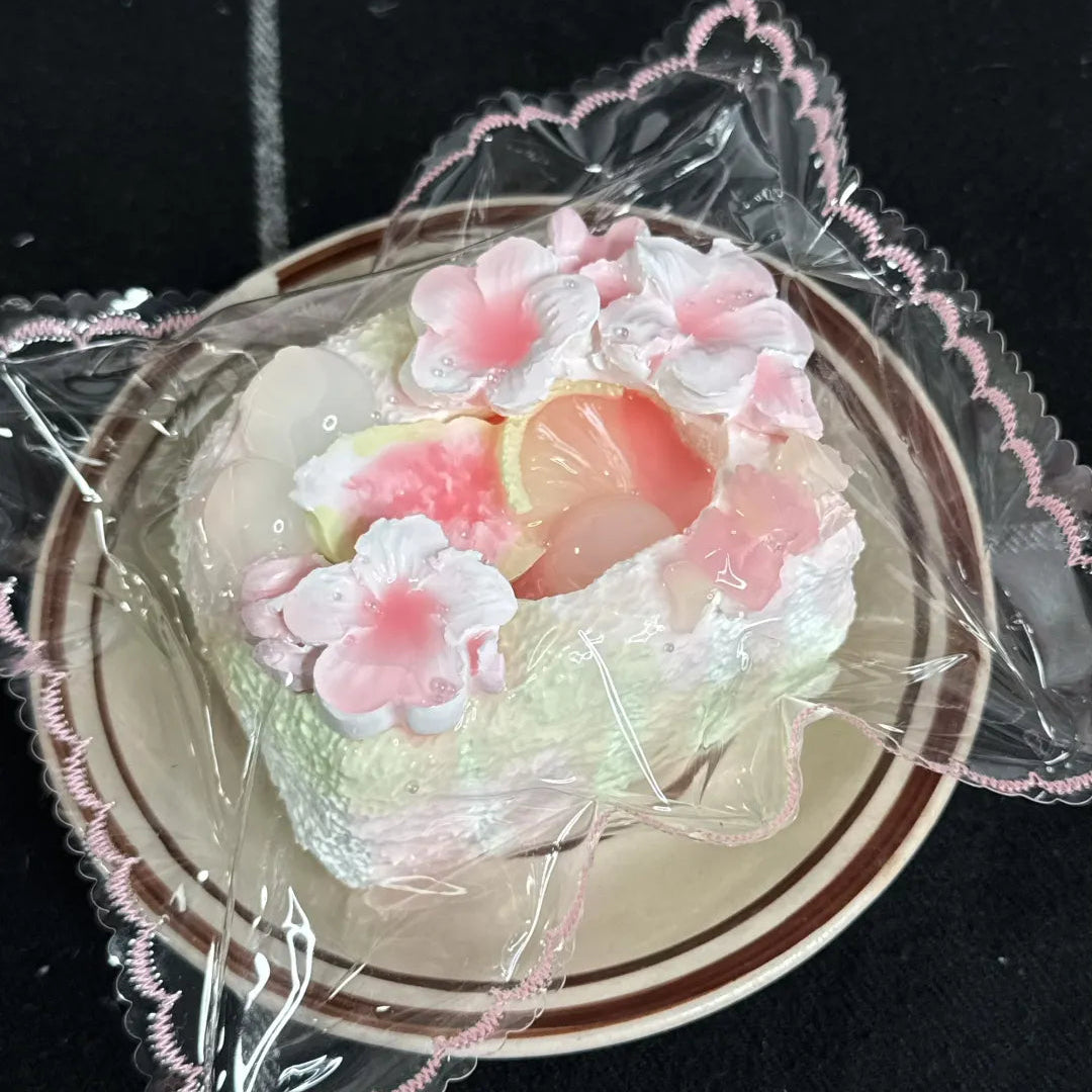 Sweet Guava Cake Squishy