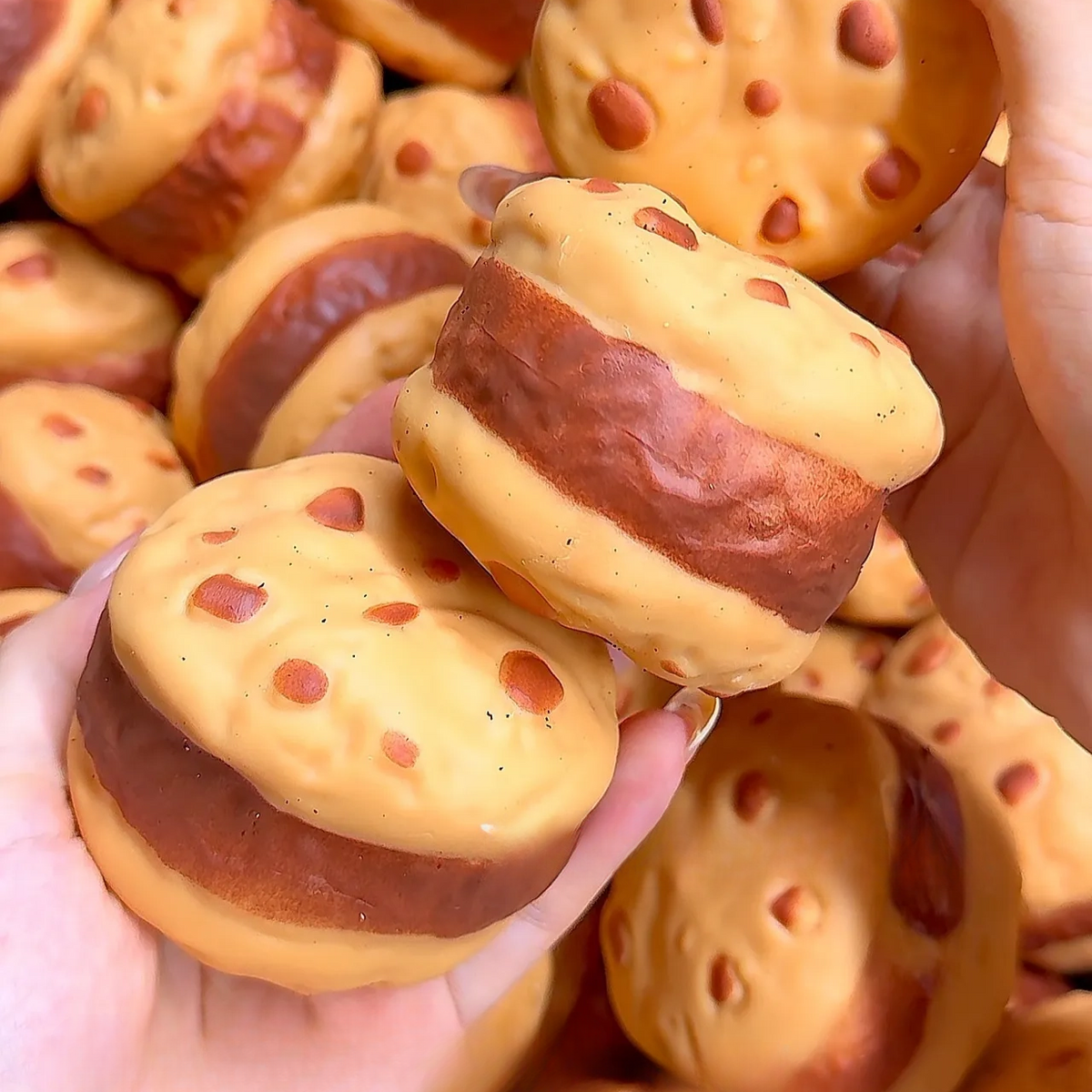 Buttery Soft Cookie Squishy