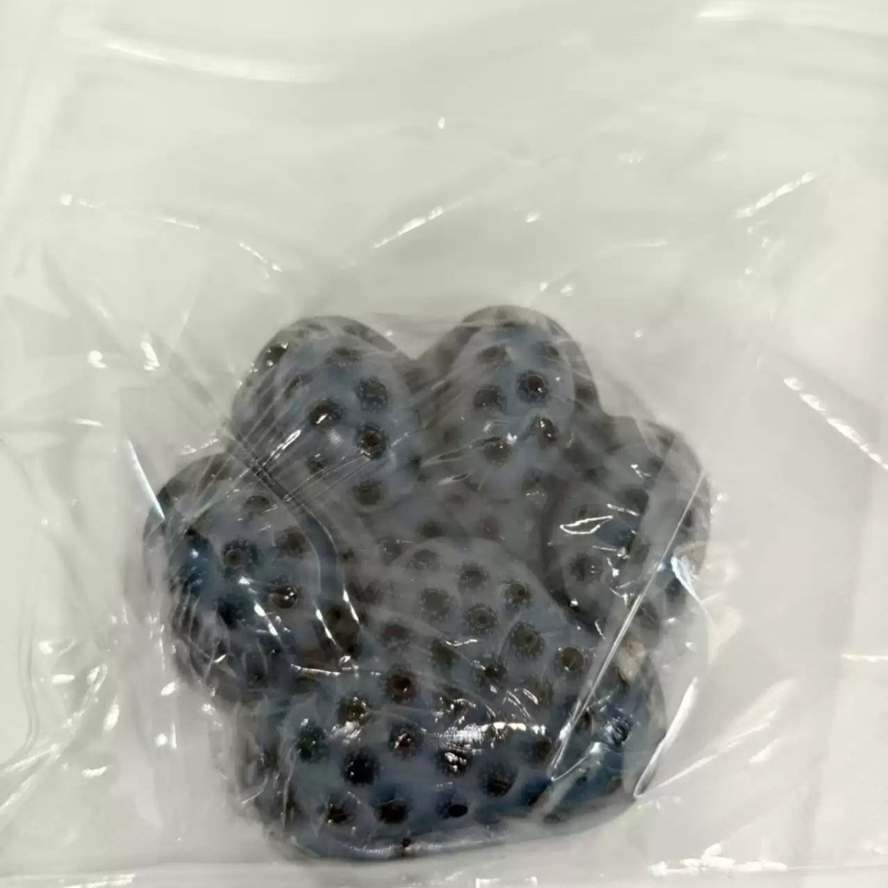 Giant Cat Paw Pimple Popping Fidget Toy