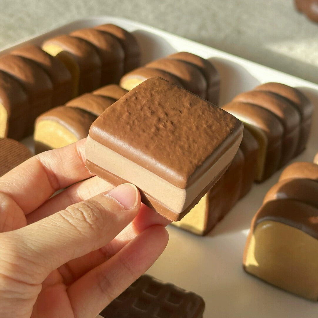 Mini Cookie Squishy Toy